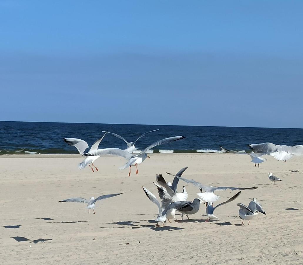 Ferienwohnung Strand25 特拉森海德 外观 照片