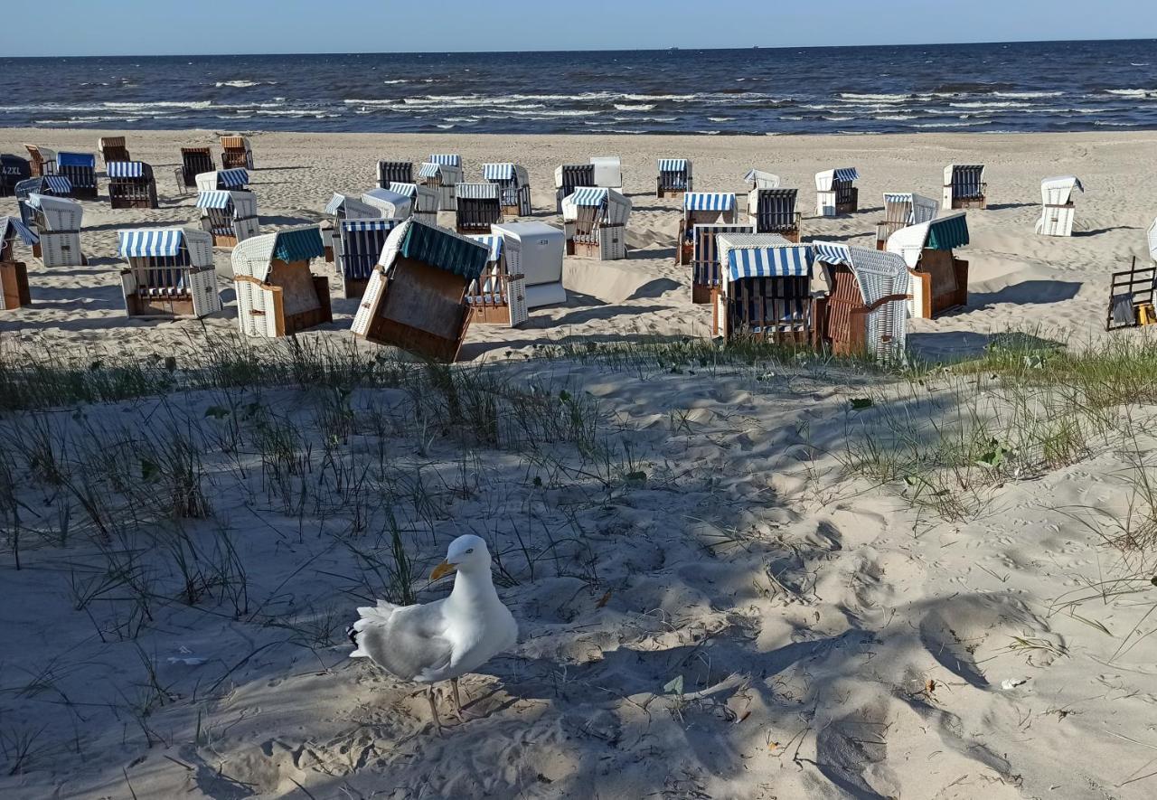 Ferienwohnung Strand25 特拉森海德 外观 照片